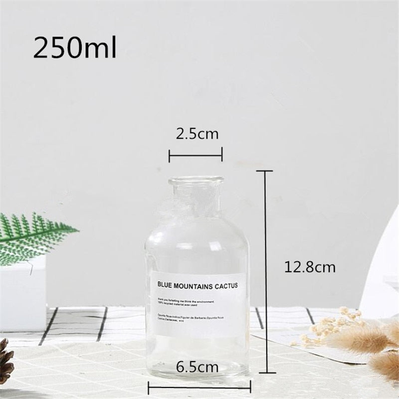 Nordic Glass Vase Flower Pot
