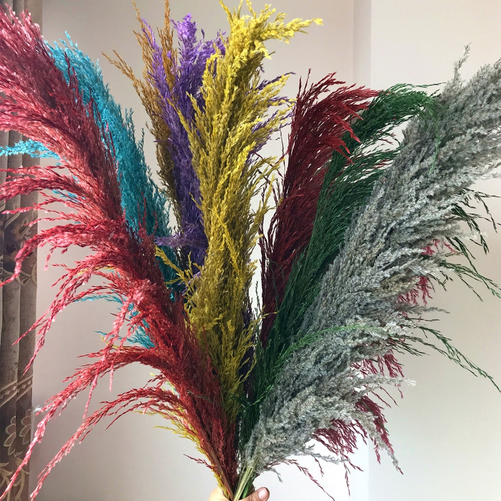 55-60cm Natural Dried Flower Pampas Grass