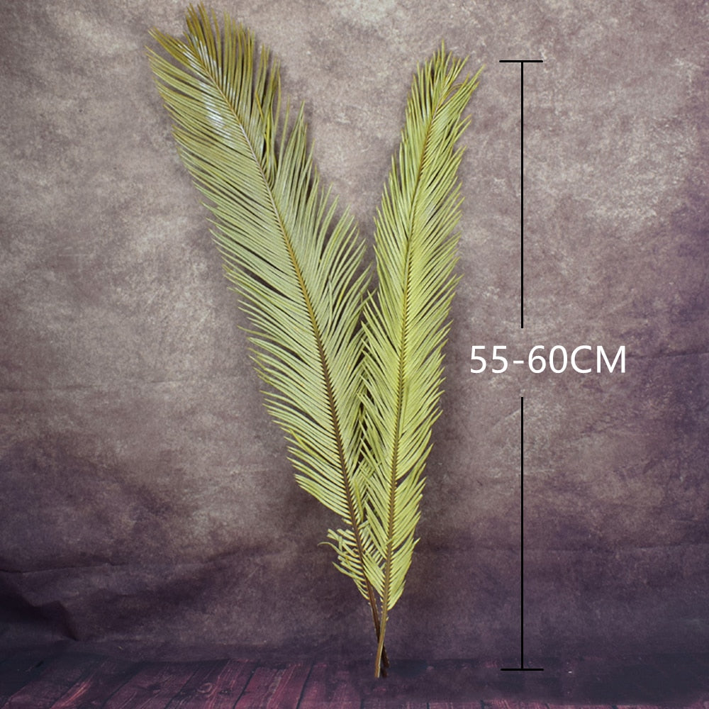 20 x 40CM / 1PCS Dried Natural Palm Leaves