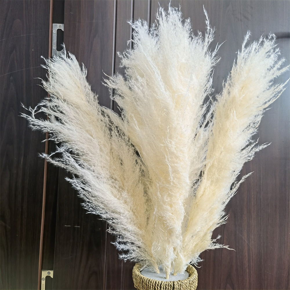 55-60cm Natural Dried Flower Pampas Grass