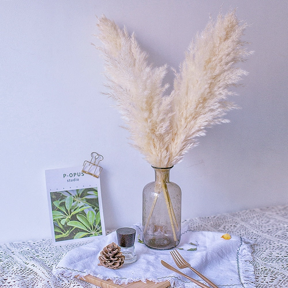 55-60cm Natural Dried Flower Pampas Grass