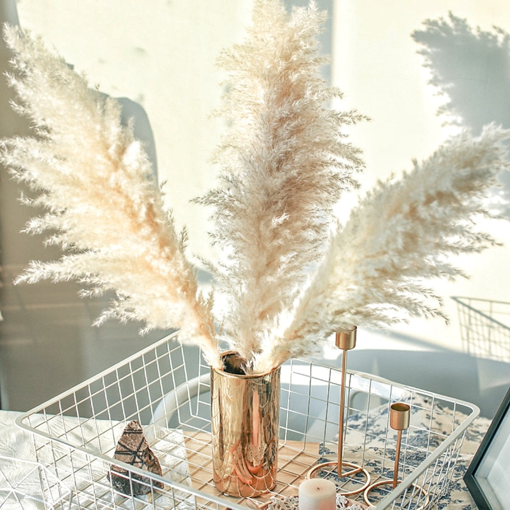 55-60cm Natural Dried Flower Pampas Grass