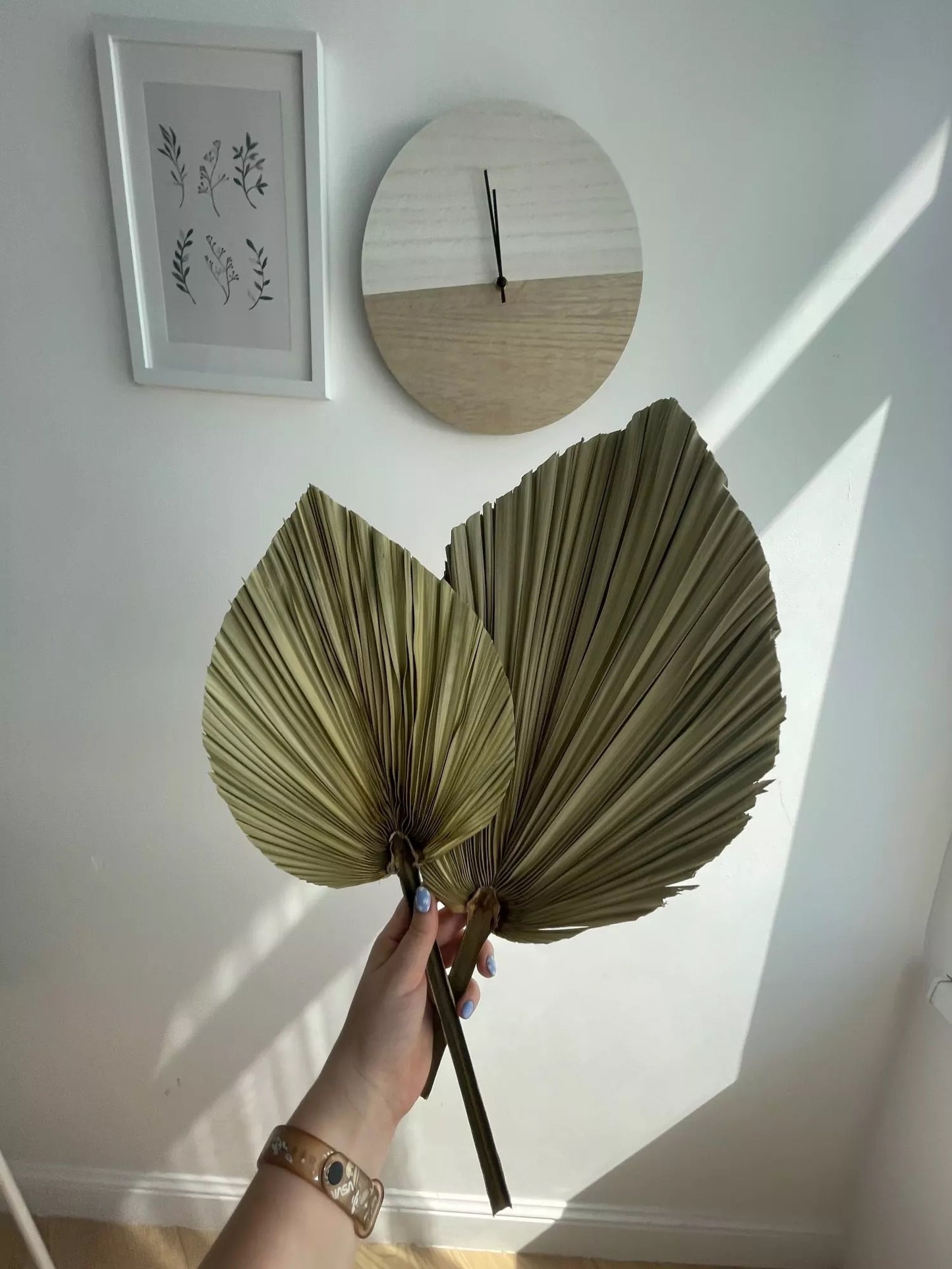 20 x 40CM / 1PCS Dried Natural Palm Leaves