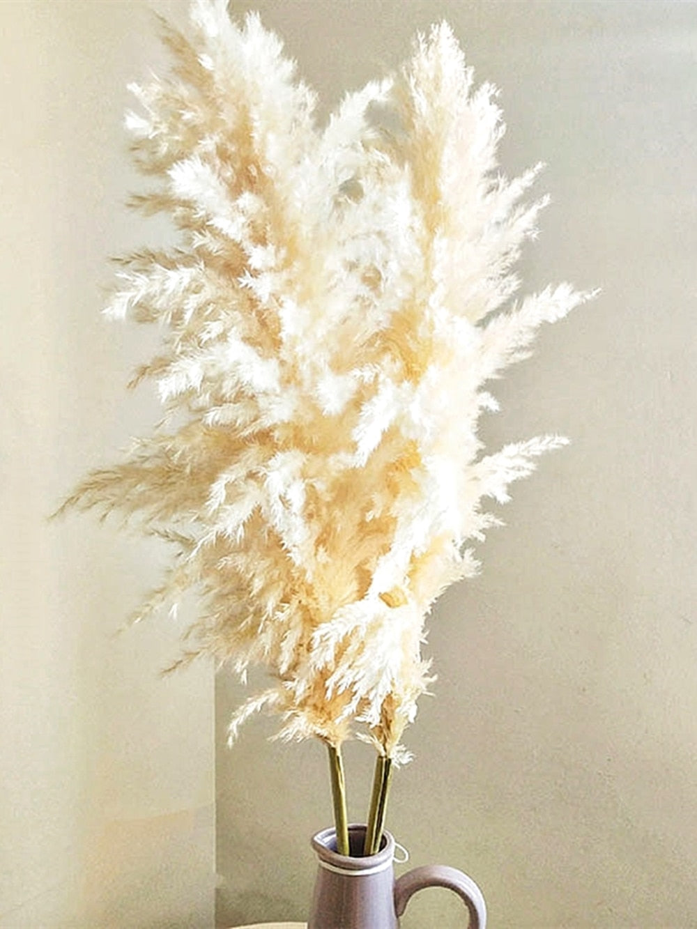 55-60cm Natural Dried Flower Pampas Grass