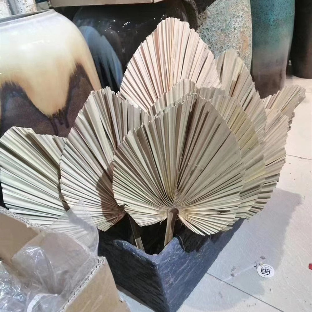 20 x 40CM / 1PCS Dried Natural Palm Leaves