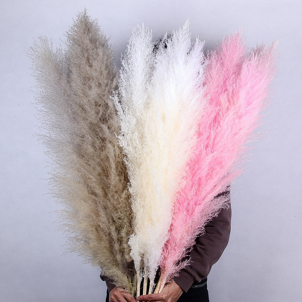 55-60cm Natural Dried Flower Pampas Grass