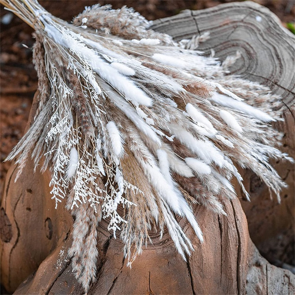 80 PCS Natural Dried Pampas Grass