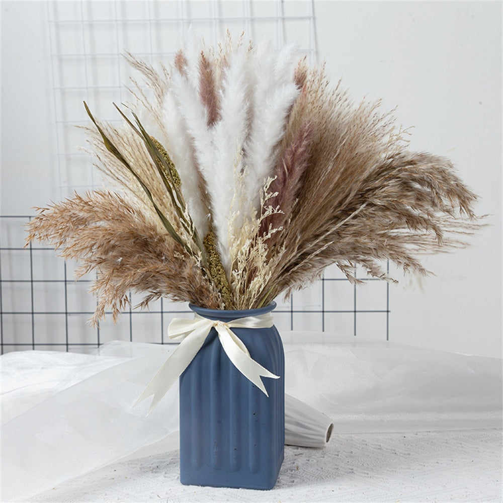 80 PCS Natural Dried Pampas Grass