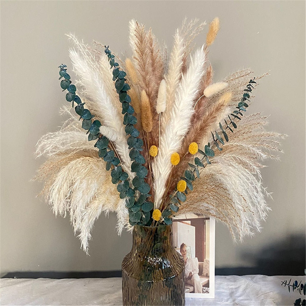 80 PCS Natural Dried Pampas Grass