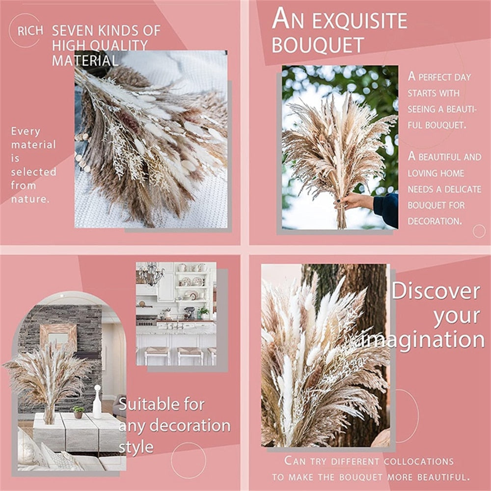 80 PCS Natural Dried Pampas Grass