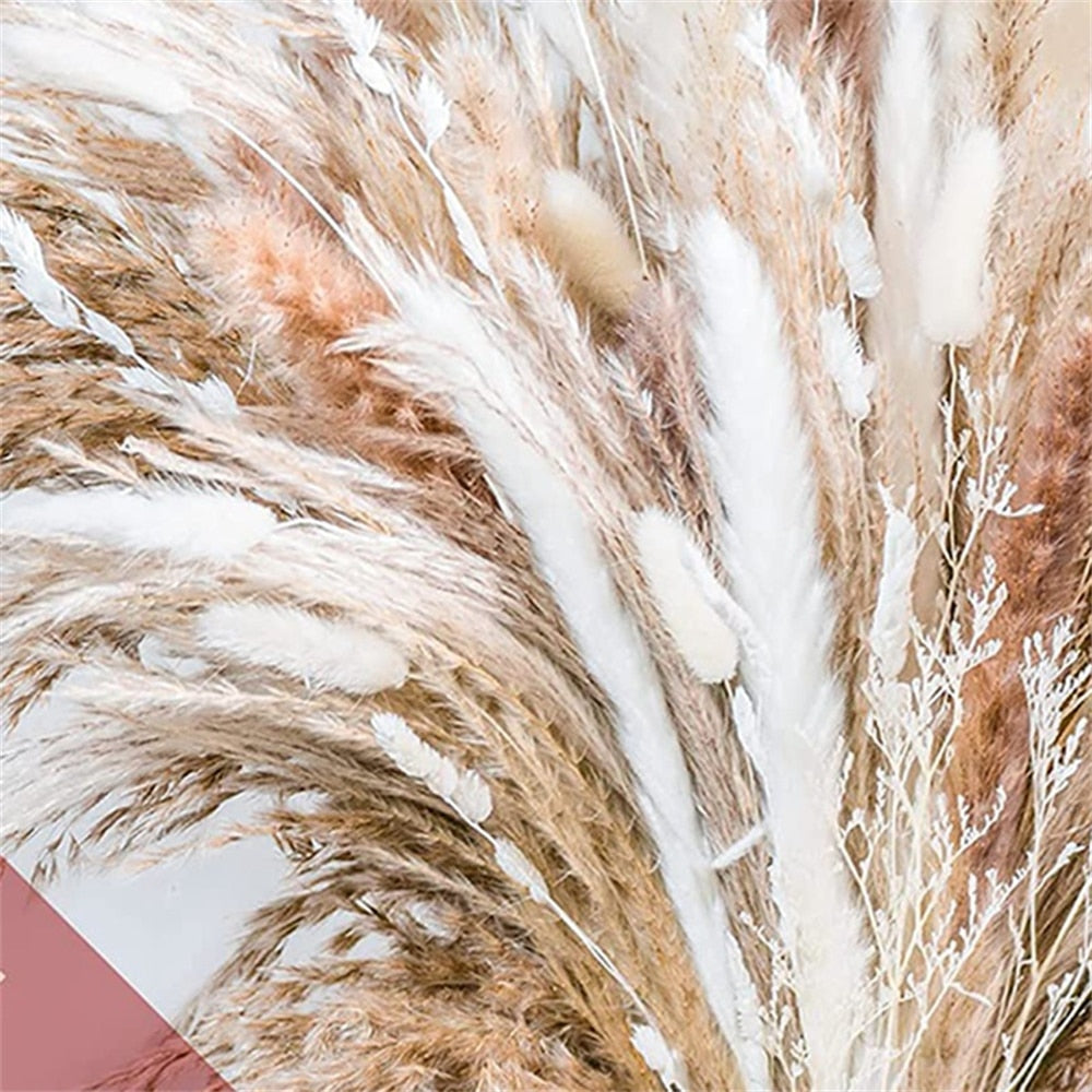 80 PCS Natural Dried Pampas Grass