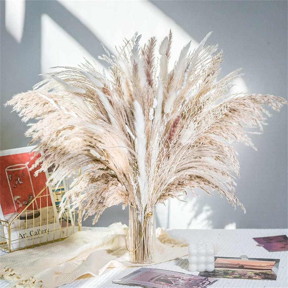 80 PCS Natural Dried Pampas Grass